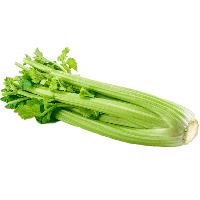 Celery Image