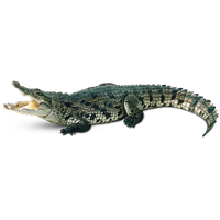 Crocodile Image