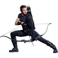 Hawkeye Image