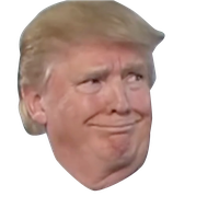Donald Trump Image