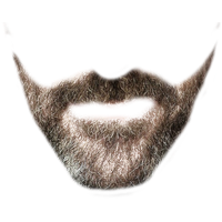 Beard Image