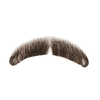 Moustache Image