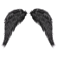 Dark Angel Image