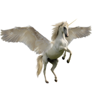 Unicorn Image