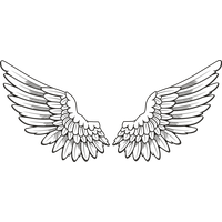 Wings Image