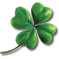 Clover Image