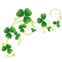 Shamrock Image