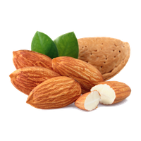 Almond Image