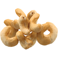 Cashew Image