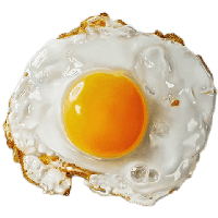 Egg Image