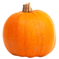 Pumpkin Image