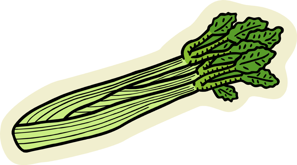 Celery Green Download HD PNG Image