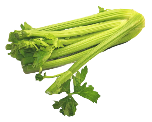 Celery Green Free Transparent Image HQ PNG Image