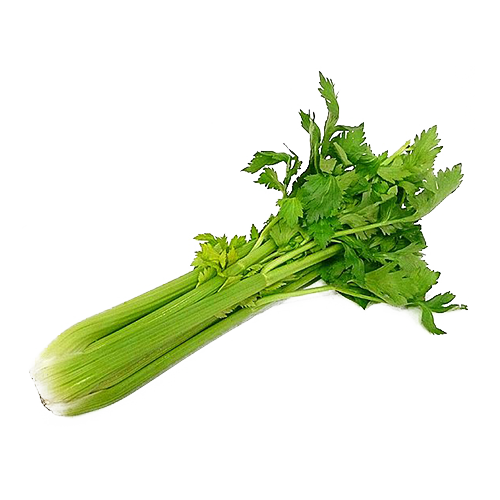 Celery Green Organic Download Free Image PNG Image