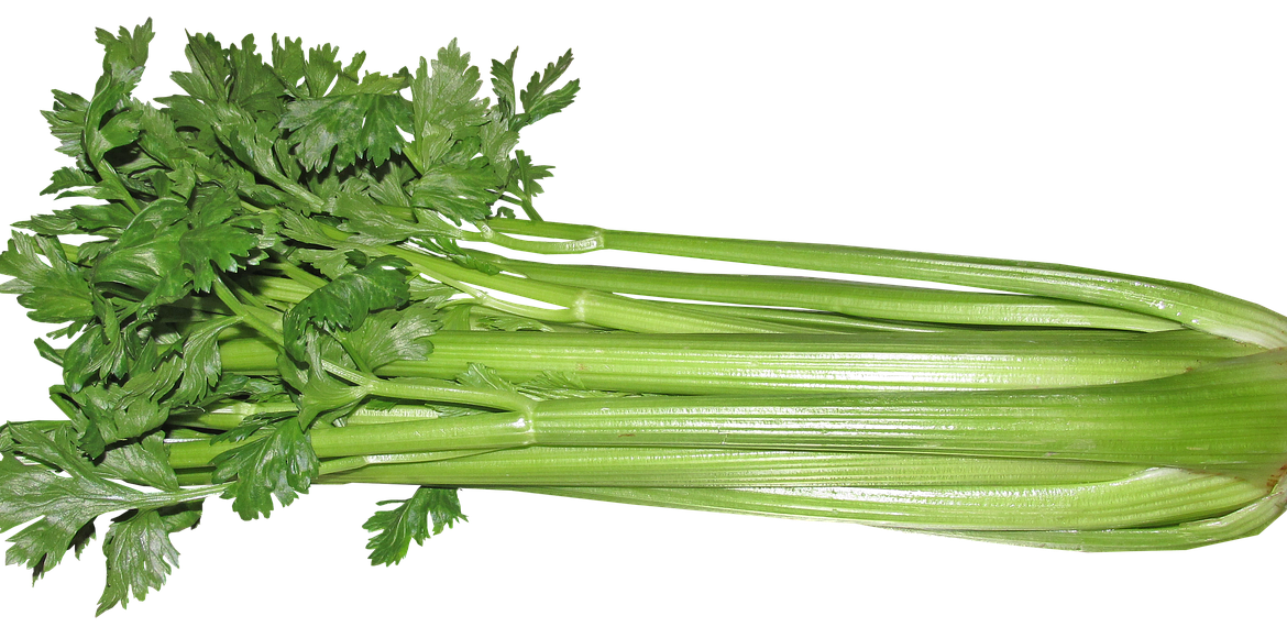 Celery Sticks Bunch Download HQ PNG Image