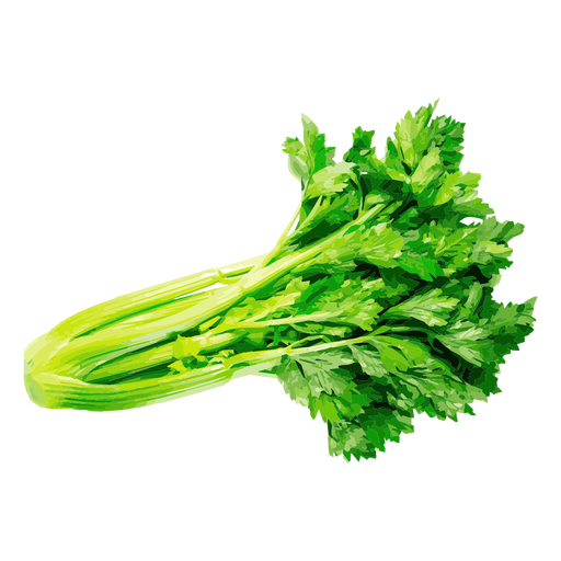 Celery Sticks Bunch Free Clipart HD PNG Image