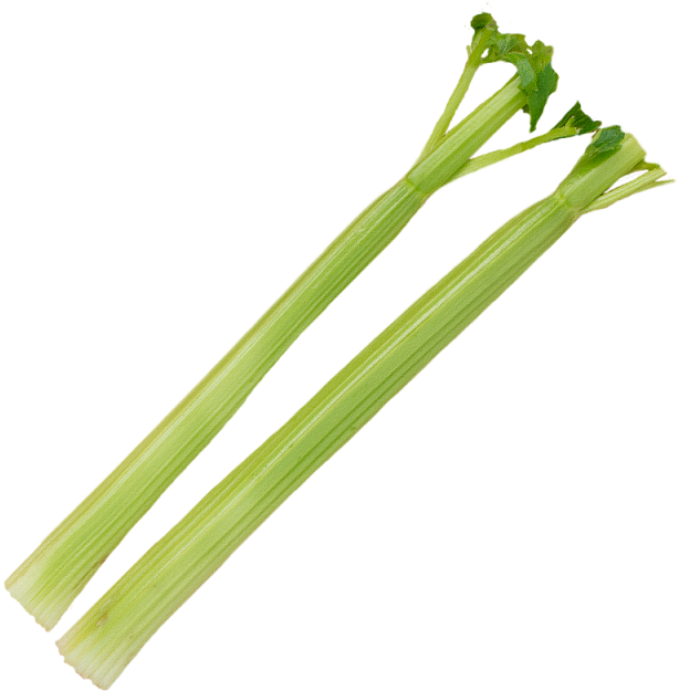 Celery Fresh Sticks Photos Free Photo PNG Image