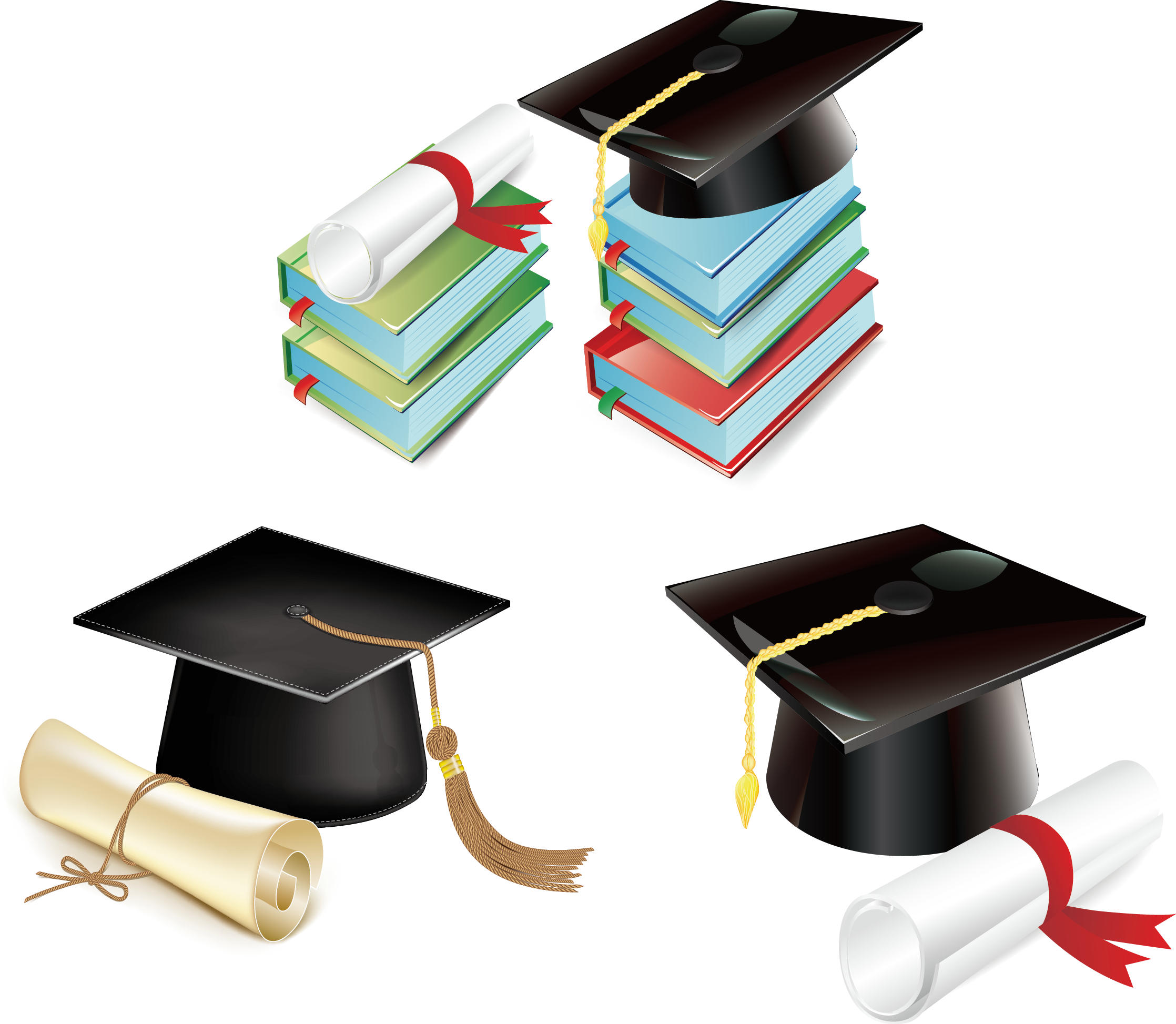 Vector Diploma PNG Image High Quality PNG Image
