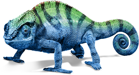 Chameleon Transparent Image PNG Image