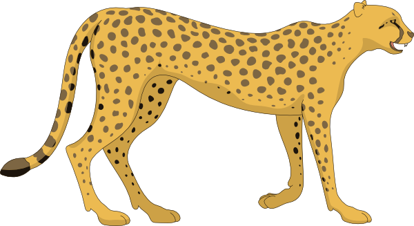 Cheetah Photos PNG Image