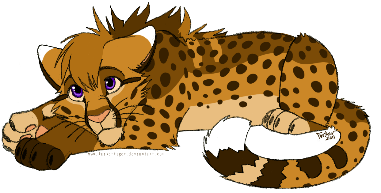 Cheetah Transparent Background PNG Image
