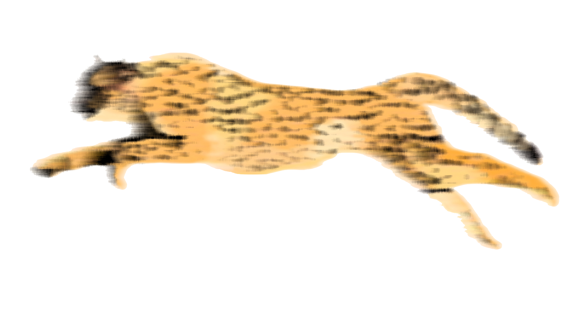Cheetah Hd PNG Image