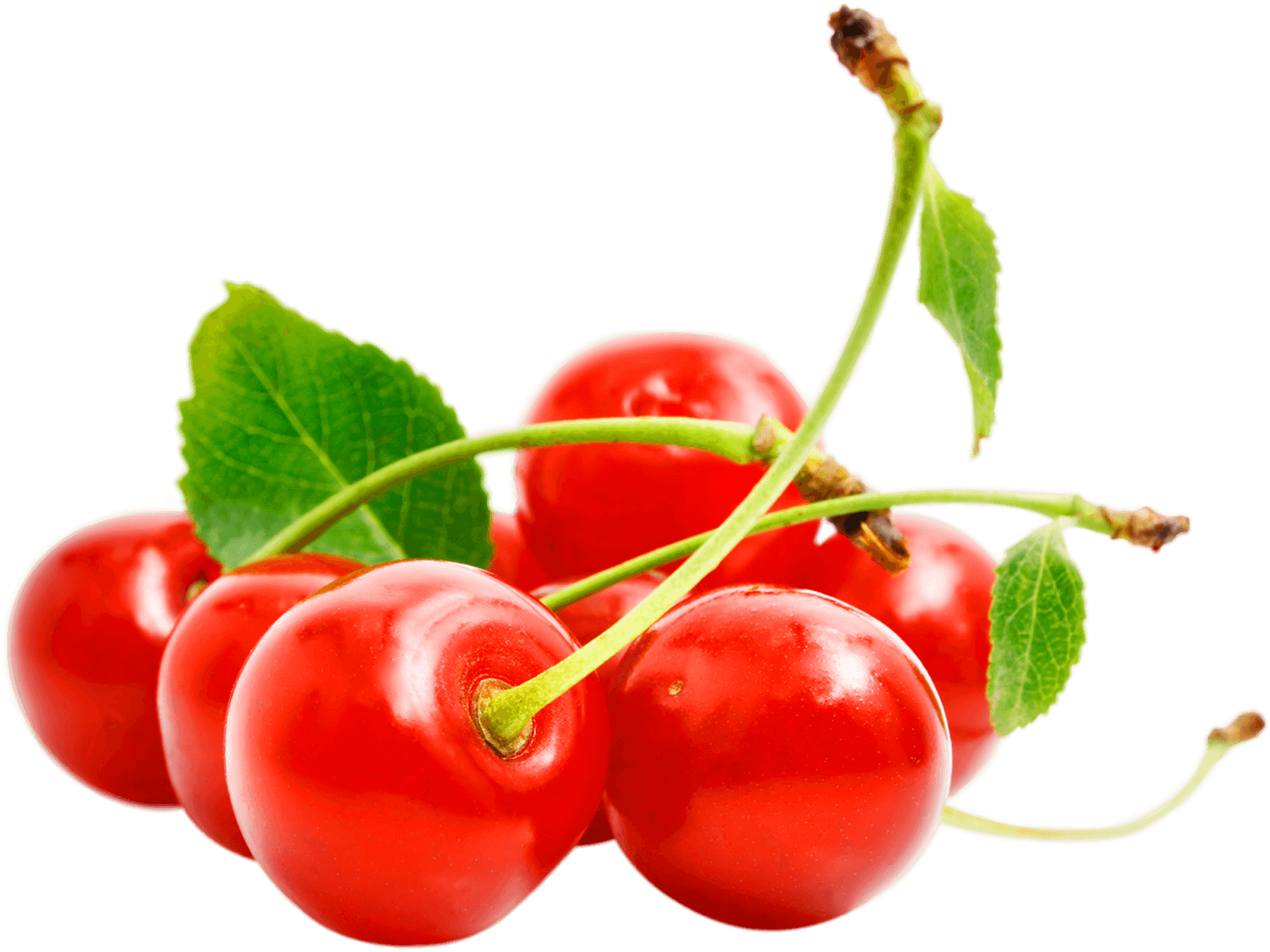 Red Cherry Png Image Download PNG Image