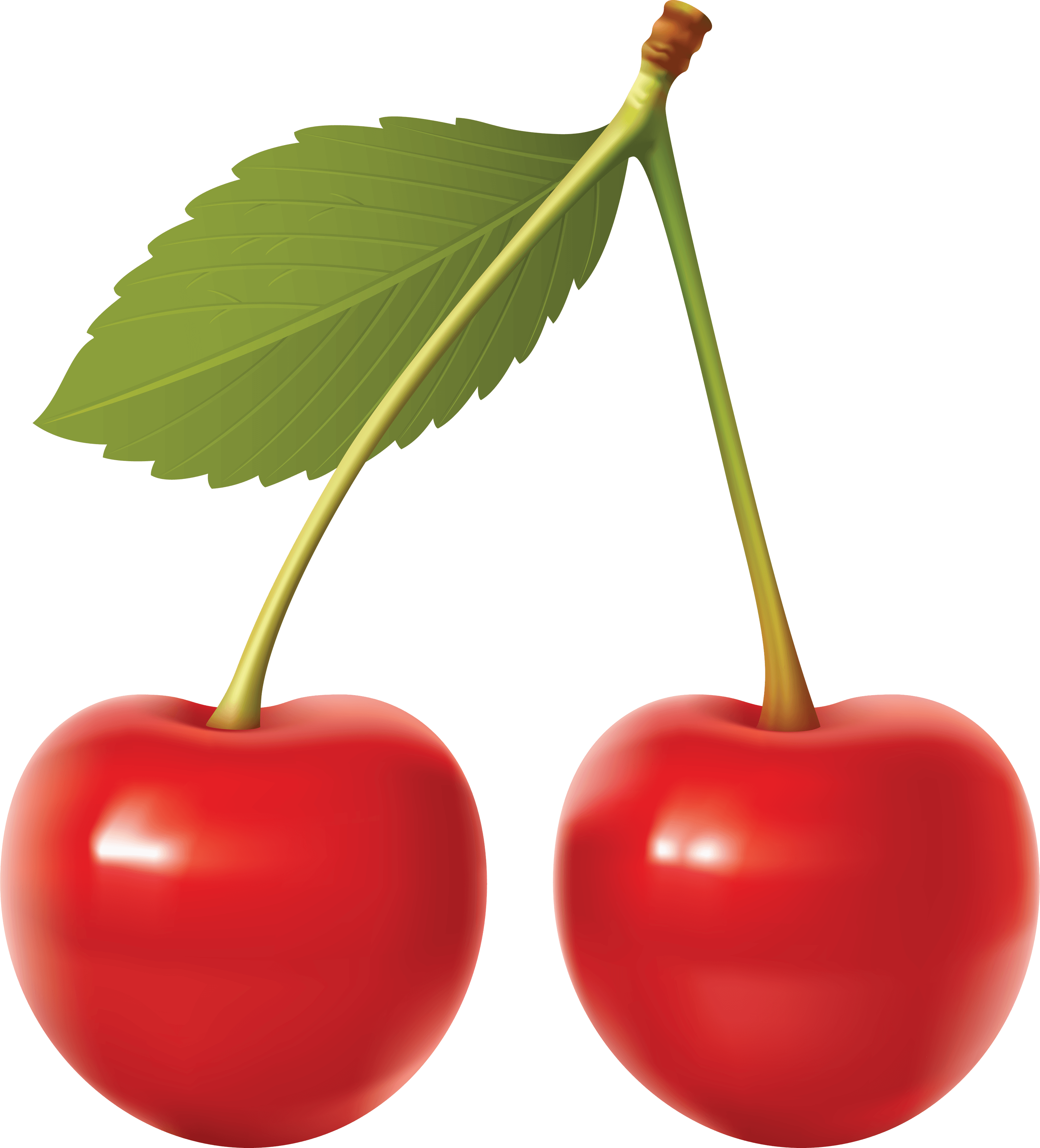 Red Cherry Png Image Download PNG Image