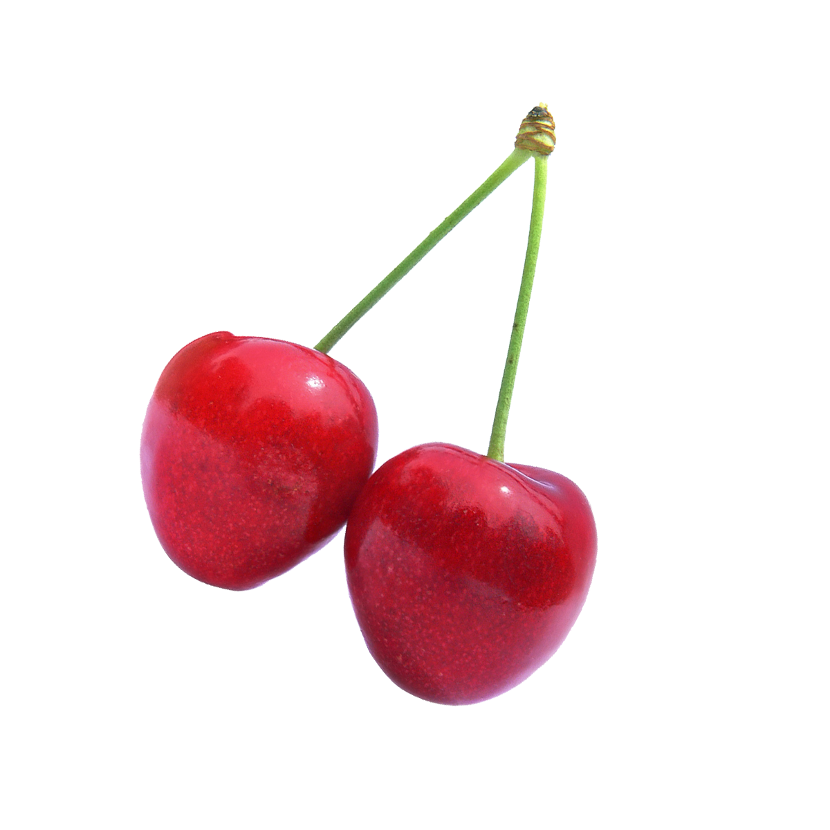 Cherry Fruit PNG Image