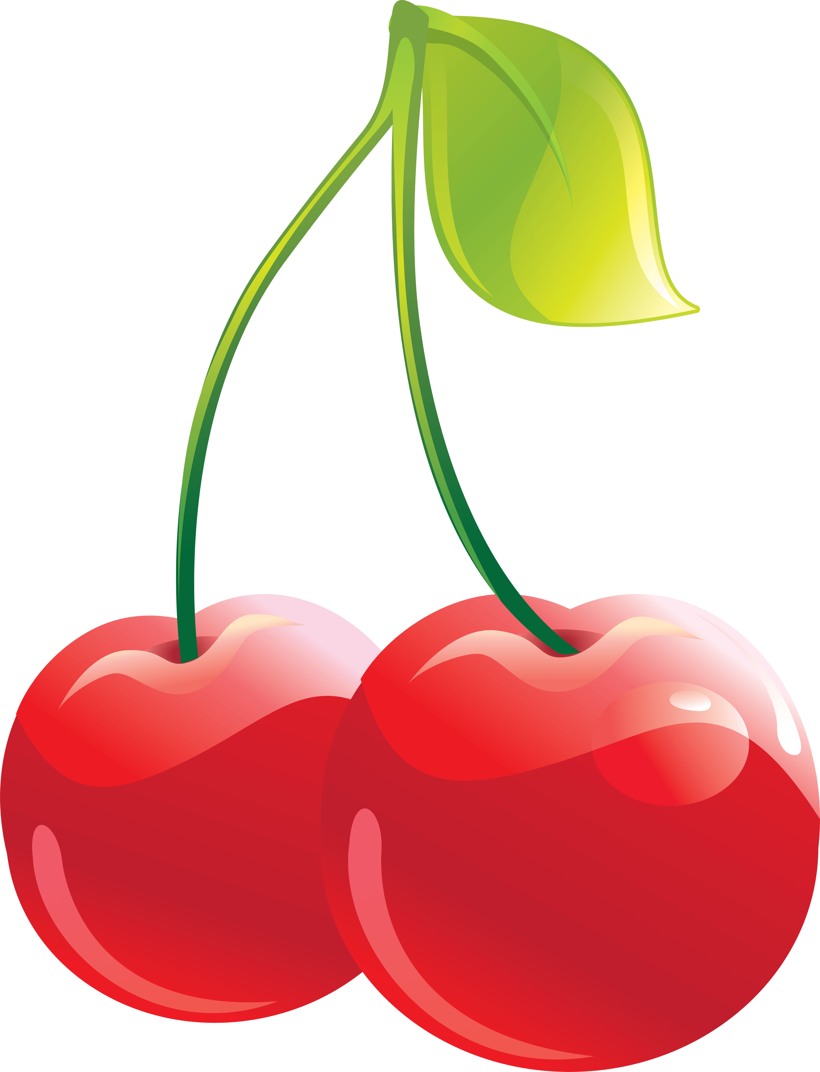 Cherry Png Image PNG Image