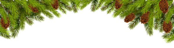 Branches Christmas HQ Image Free PNG Image