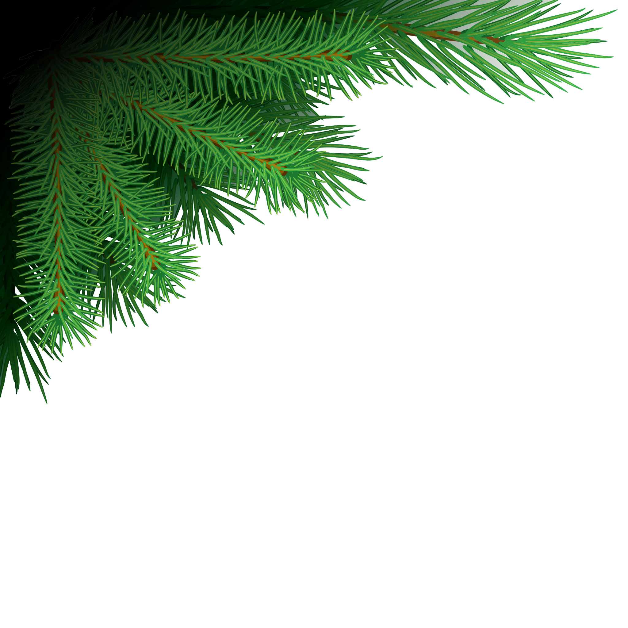 Branches Christmas PNG Free Photo PNG Image