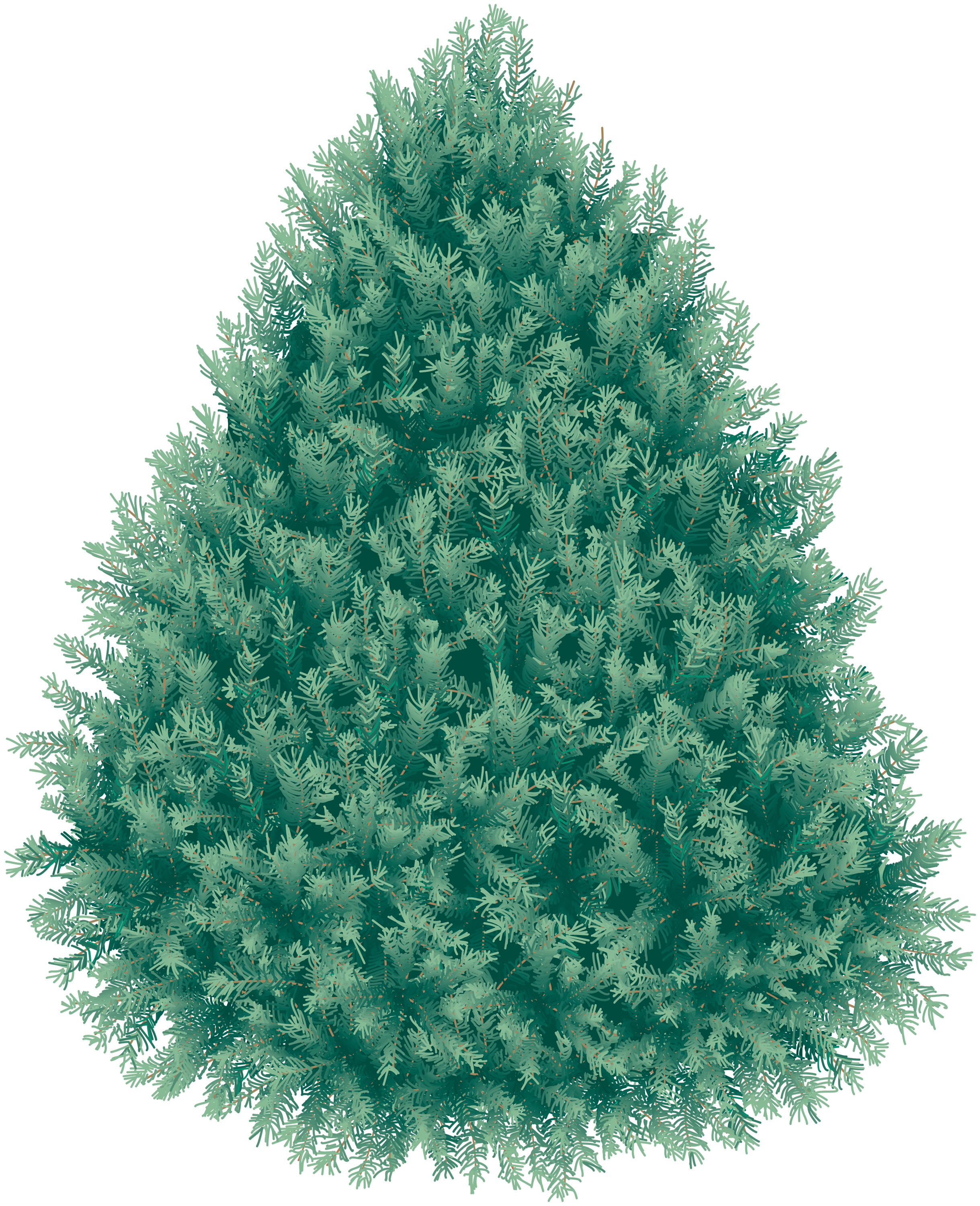 Fir Picture Tree Christmas Free Transparent Image HQ PNG Image