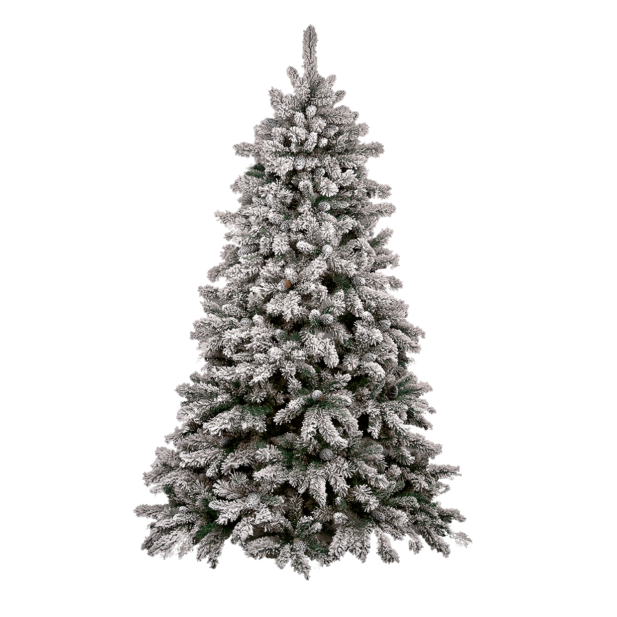 Fir Tree Christmas Free Download PNG HD PNG Image