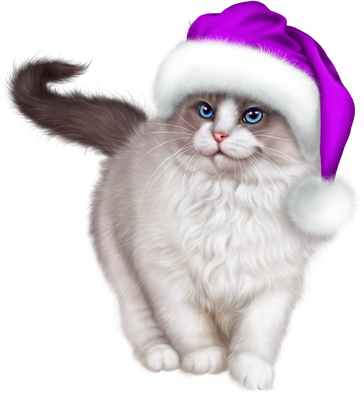 Christmas Cat Free Photo PNG Image