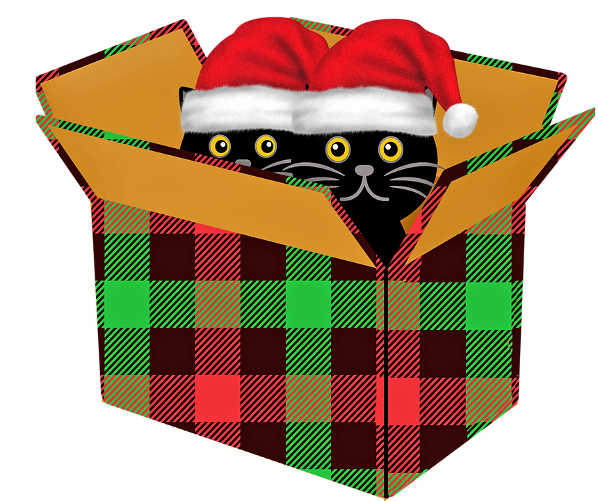 Images Christmas Cat Free PNG HQ PNG Image
