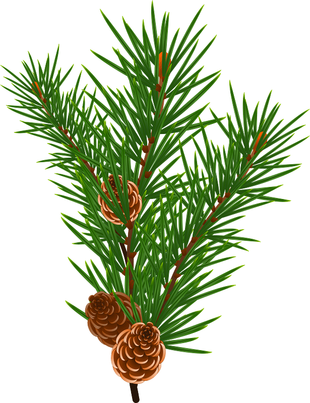 Christmas Pine Cone Free Transparent Image HQ PNG Image