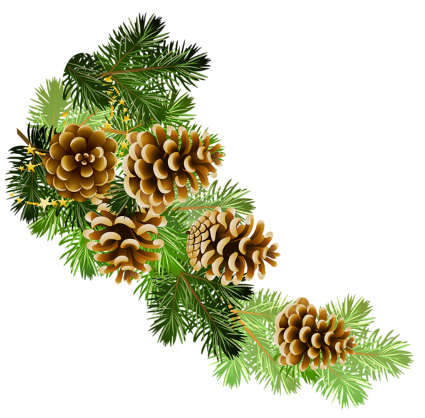 Images Christmas Pine Cone Free Clipart HQ PNG Image