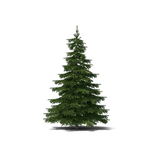 Small Fir-Tree Christmas Free Clipart HD PNG Image