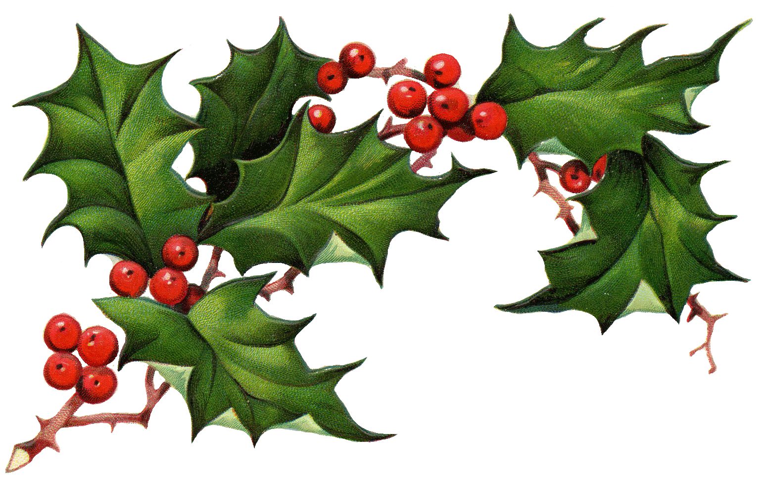 Christmas Elements PNG Image