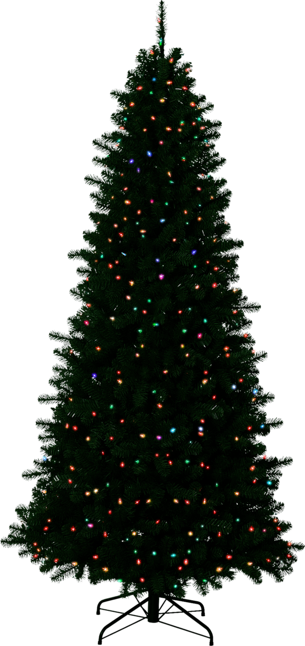 Christmas Outside Transparent Background PNG Image