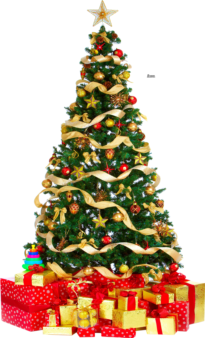 Christmas Tree Free Download PNG Image