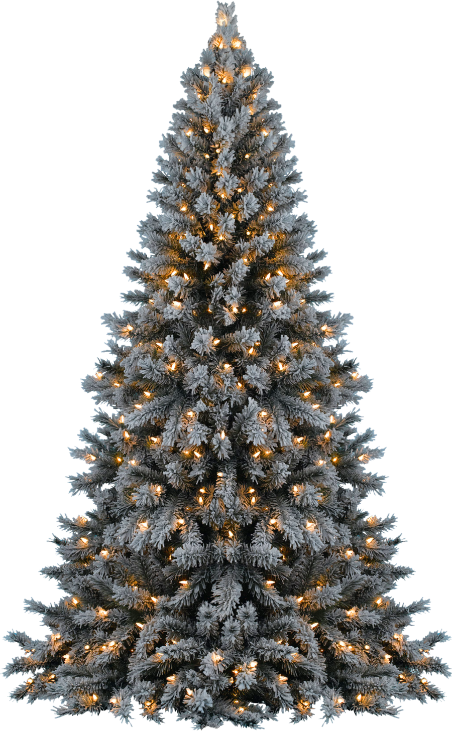 Christmas Tree Transparent PNG Image