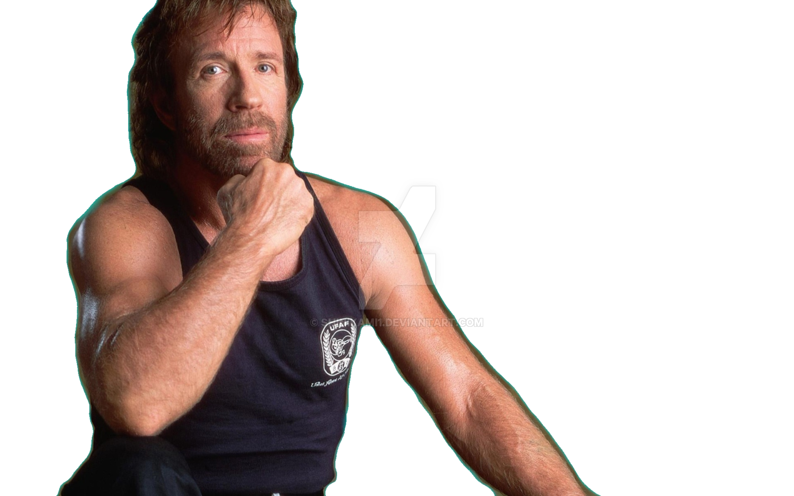 Chuck Norris Transparent PNG Image
