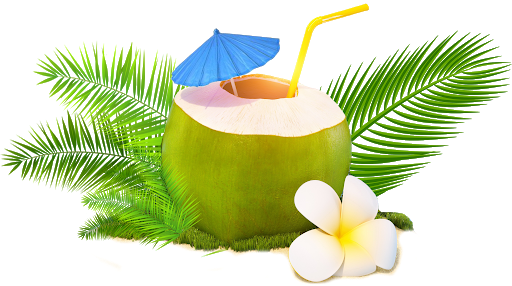 Fresh Coconut Green PNG Download Free PNG Image