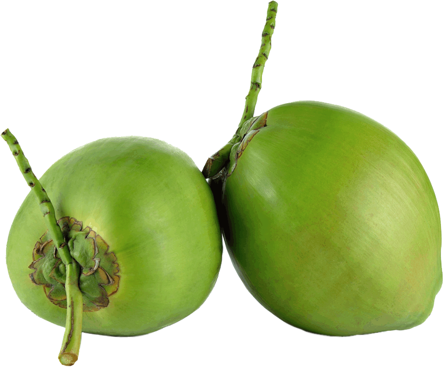 Fresh Coconut Green Photos PNG Download Free PNG Image