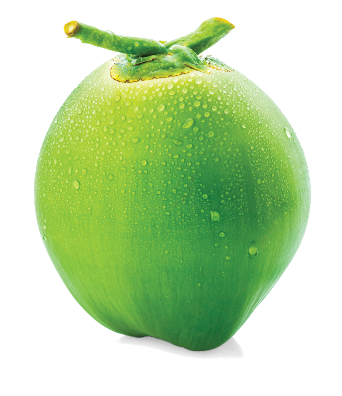 Green Coconut Organic HD Image Free PNG Image