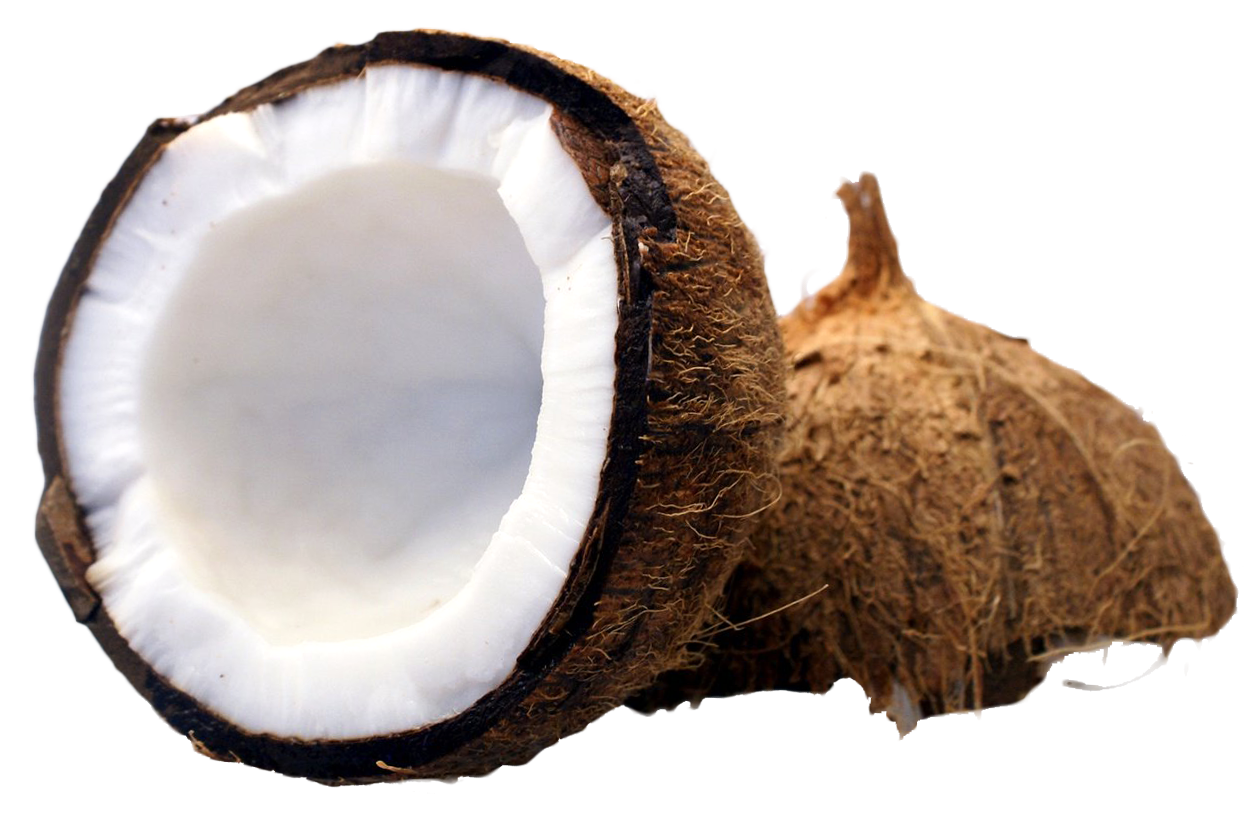 Coconut PNG Image