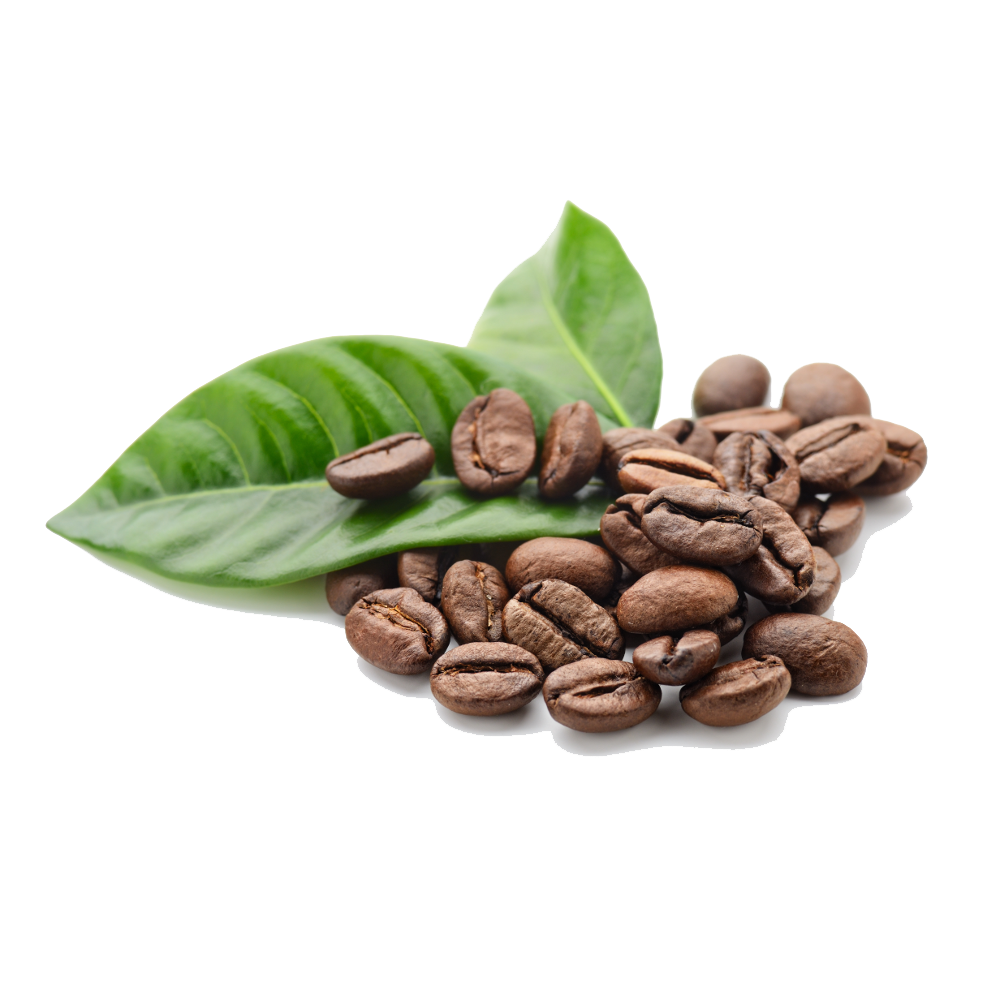 Coffee Beans Free Png Image PNG Image