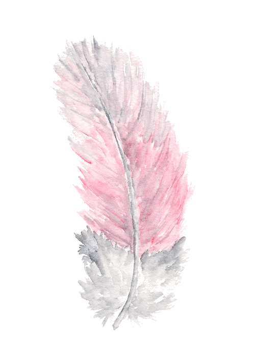 Watercolor Feather Free Clipart HQ PNG Image